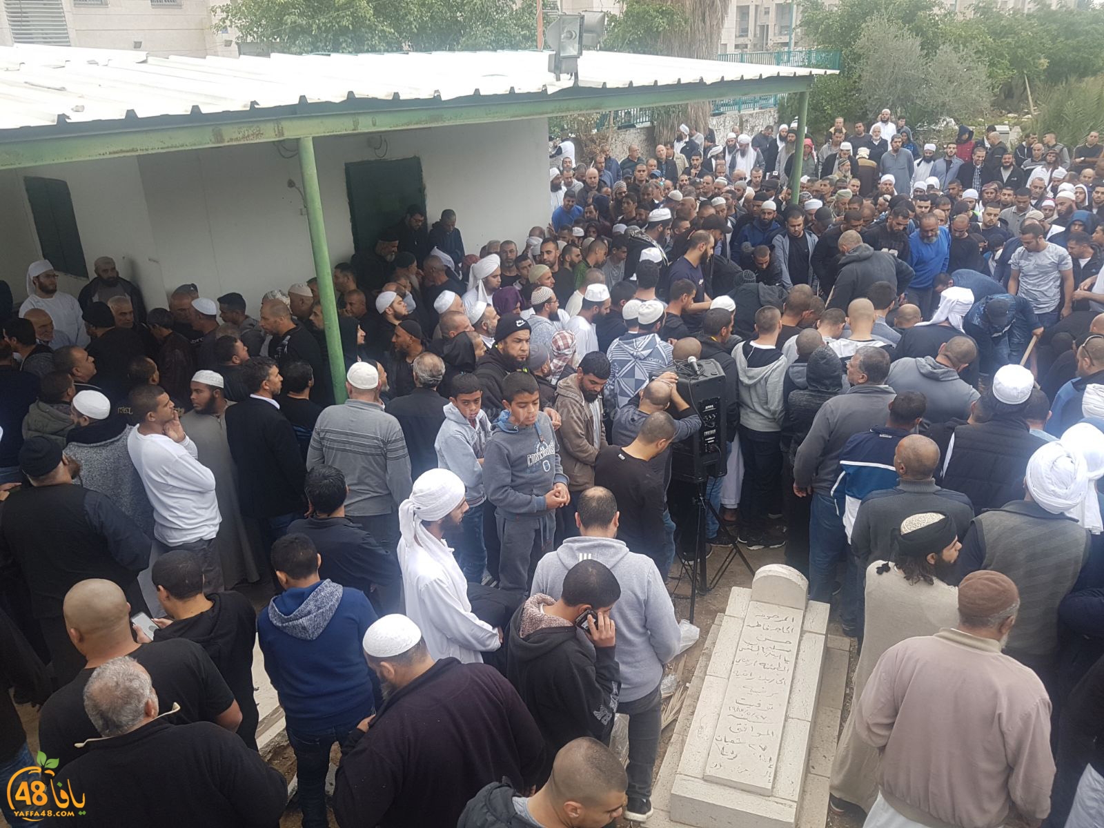 tasheeye3 om mhmoud (3).jpg